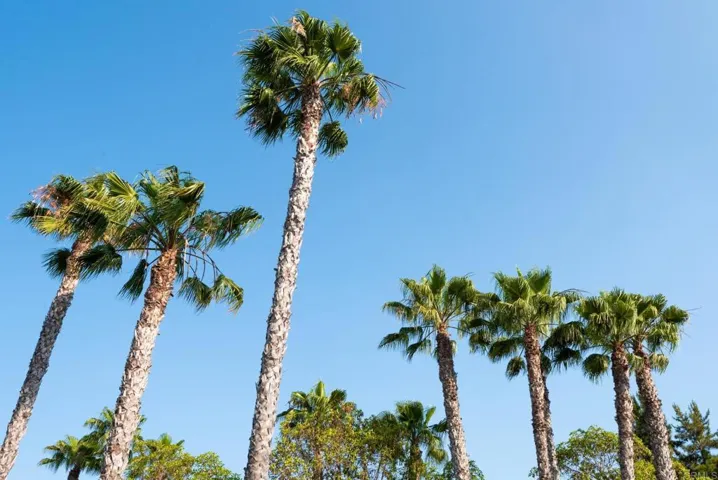 3622 Bernwood Pl 56, San Diego, California 92130