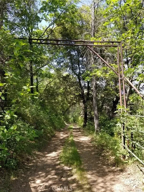 The property starts approximately 500 feet past this gate.