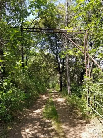 The property starts approximately 500 feet past this gate.