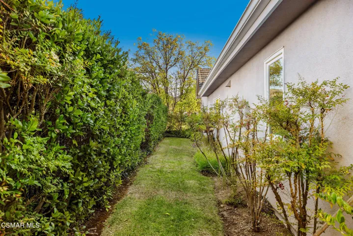 Side Yard