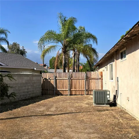 Back Yard (2)