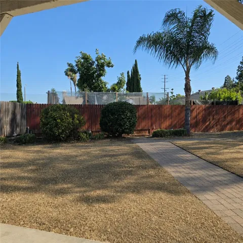 Back Yard (3)