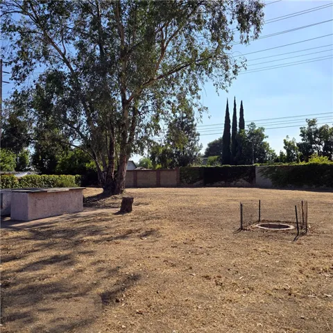 Back Yard (4)