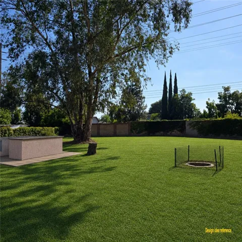 Back Yard 1