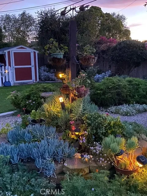Enchanted evening lights