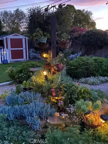 Enchanted evening lights
