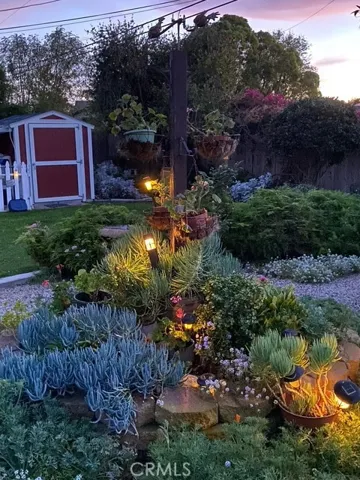 Enchanted evening lights