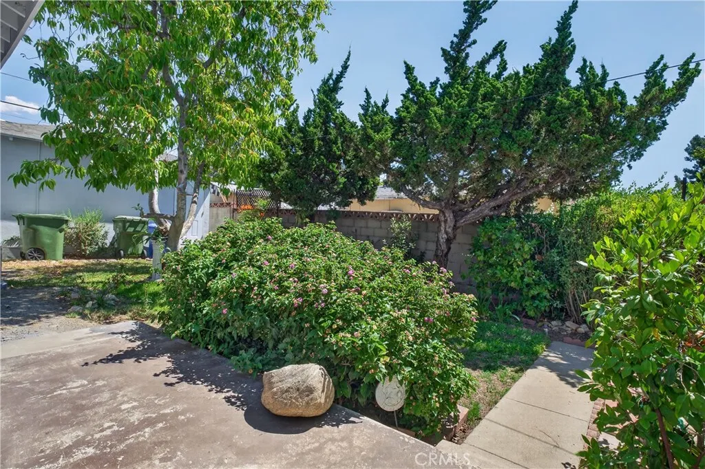 Front house's back yard