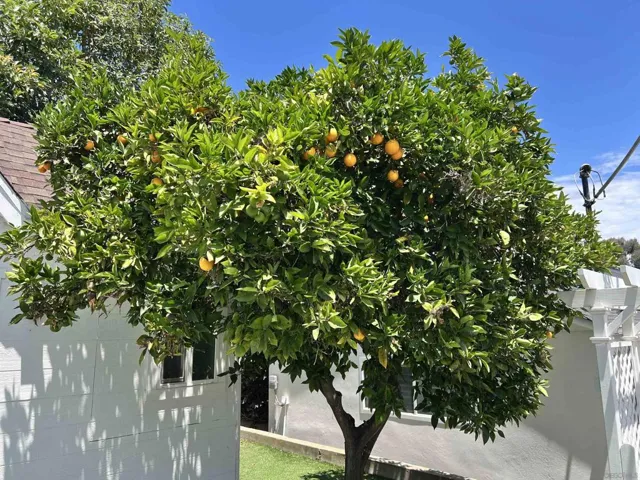 3853 Narragansett Ave., San Diego, California 92107