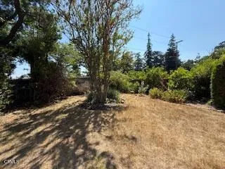 591 Alameda Street, Altadena, California 91001 — photo 4