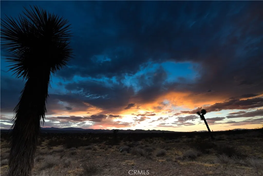 58459 Starlight Mesa Road, Yucca Valley, California 92284 — photo 5