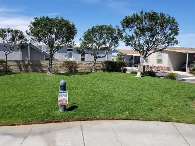 dog park