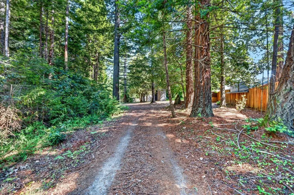 54 driveway 1