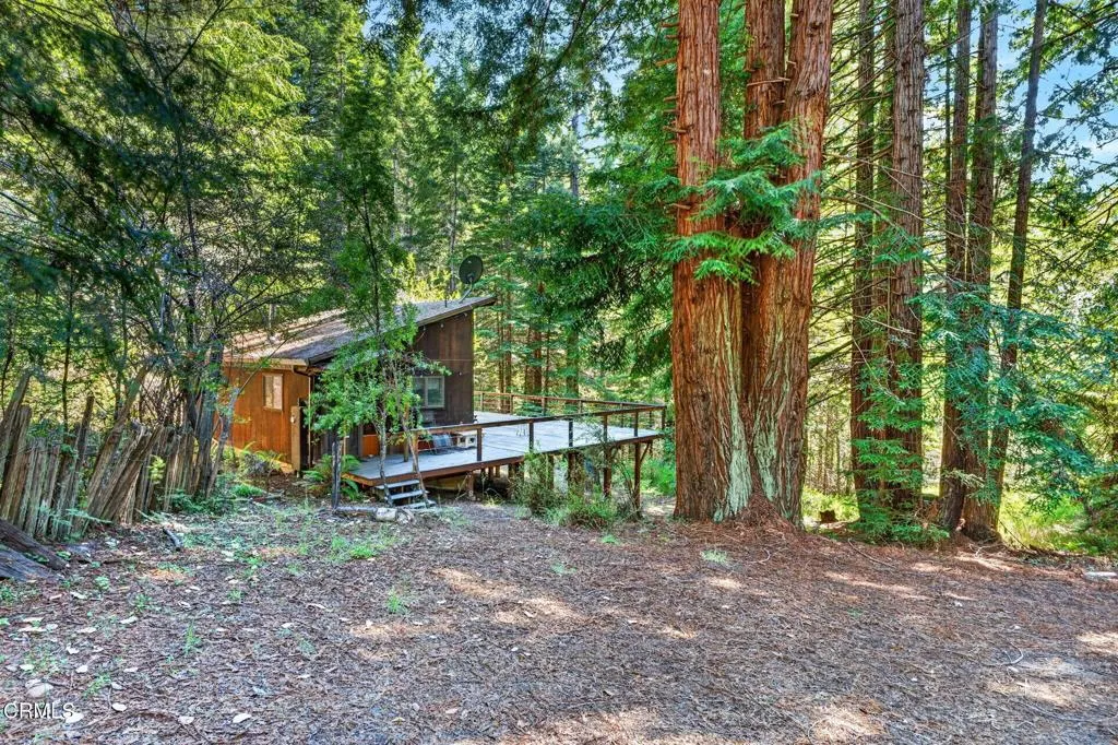 29 cabin