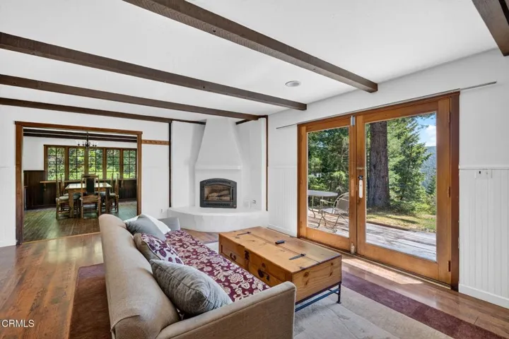 04 living fireplace