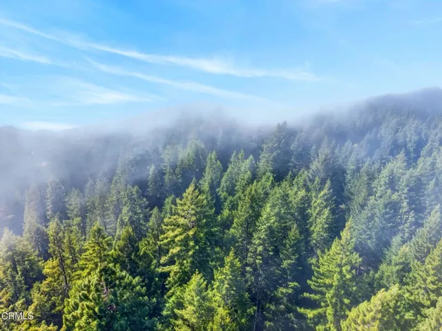 58 ridge fog