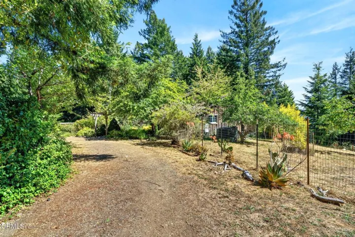 43 garden view