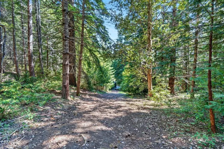 27 road to cabin