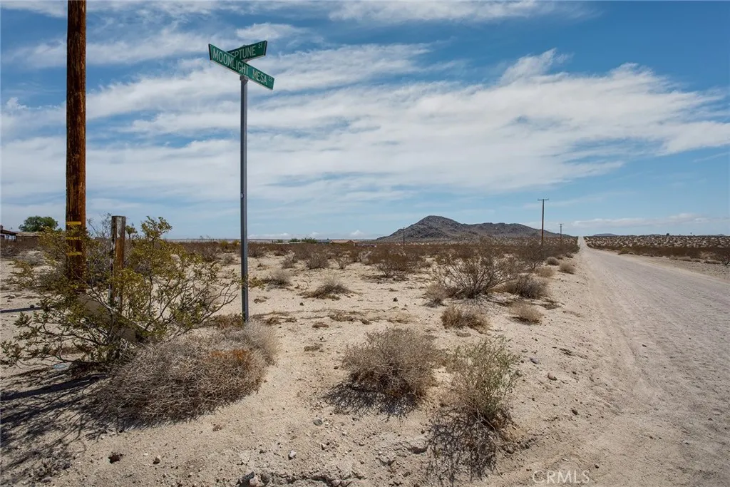 62826 Moonlight Mesa Street, Joshua Tree, California 92252 — photo 5