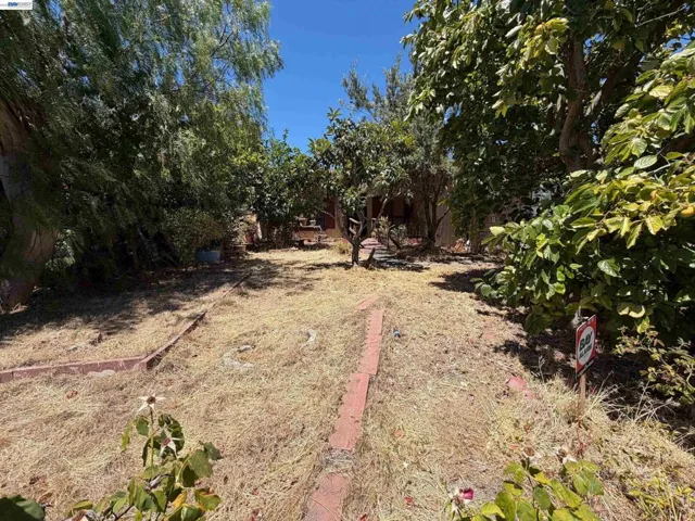 Front Yard