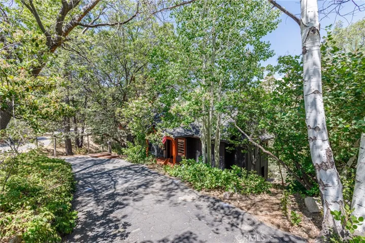 Tucked into the copse of Quaking Aspens, the house is very hidden and private.