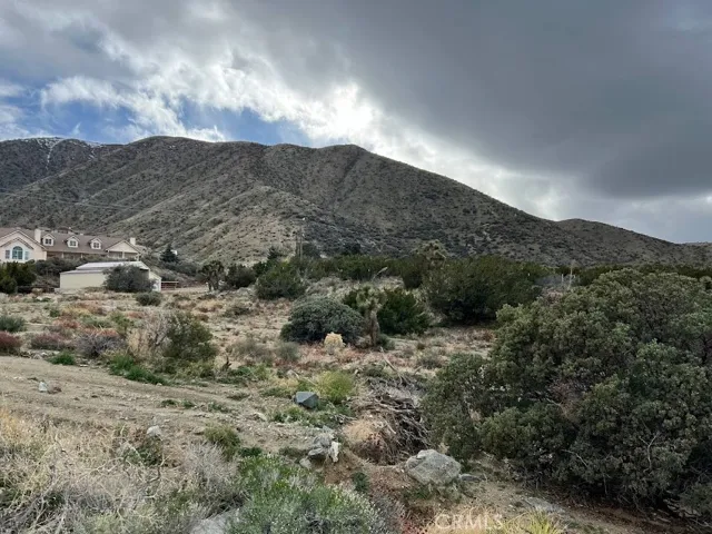 11890 Juniper Hills, Littlerock, California 93543