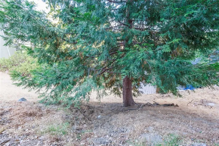 310 Wylerhorn, Crestline, California 92325