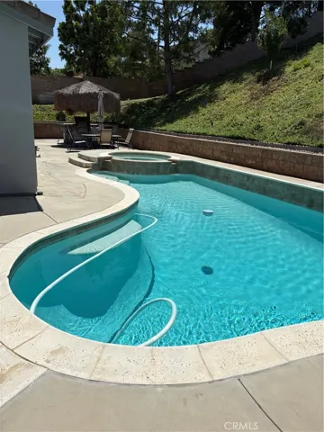 Pool & Jacuzzi with Swim Out Ledge & Pool Sweep Stays.
