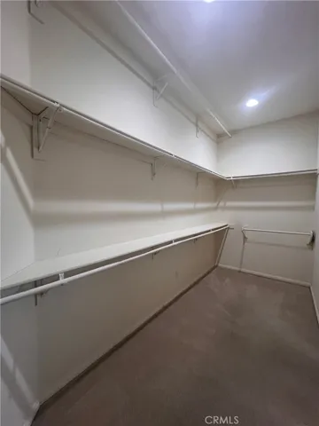 Primary closet