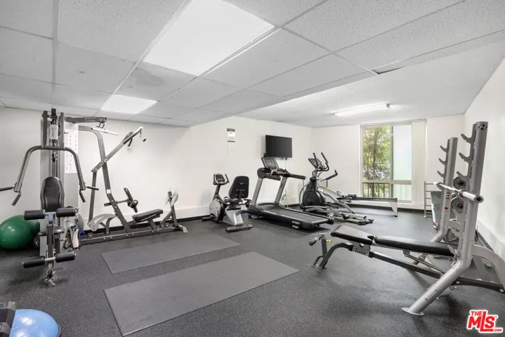 809 S Bundy Drive 205, Los Angeles, California 90049