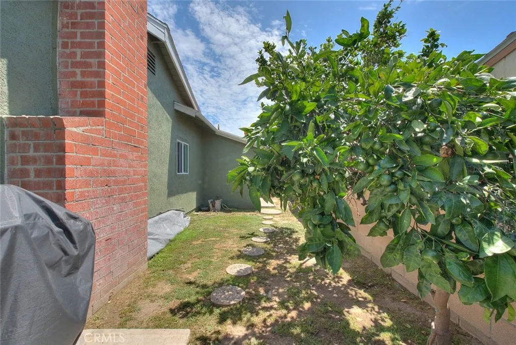 Side Yard