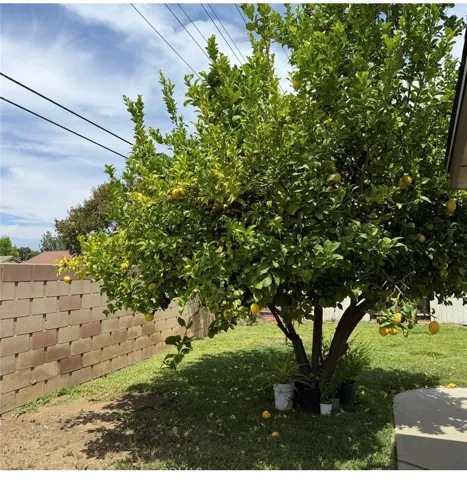 25860 Thundercloud Court, Moreno Valley, California 92553