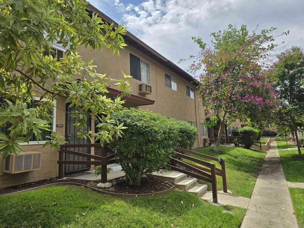 Tree Lined Courtyard
