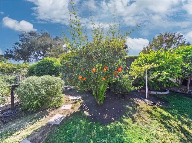 1209 S 8th Avenue, Arcadia, California 91006