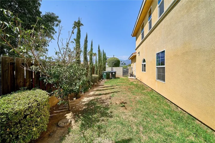 Side Yard