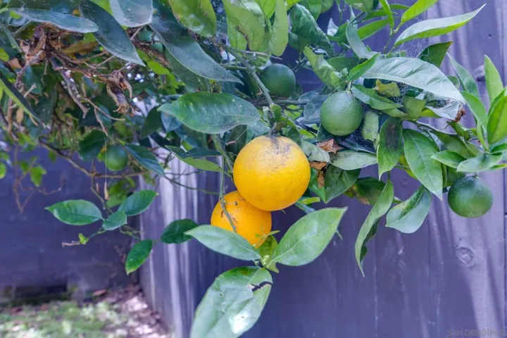 1406 Green Bay, San Diego, California 92154