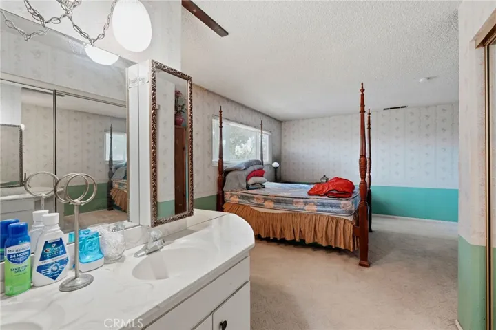 VANITY AREA