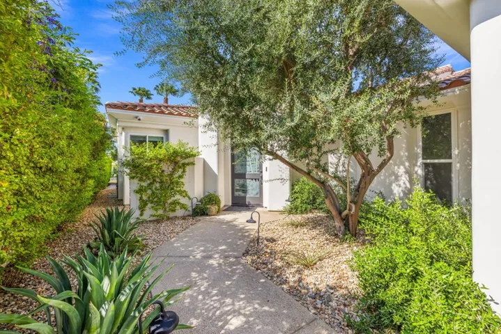 64-web-or-mls-249A5019