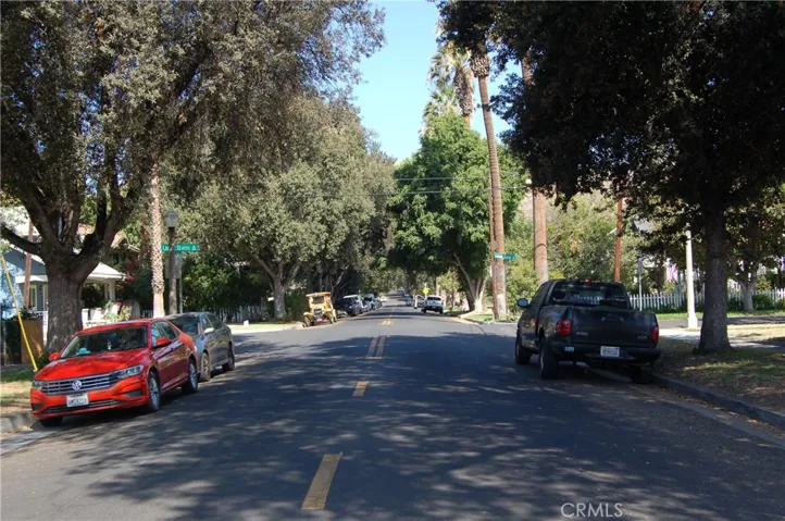 TREE LINED STREET