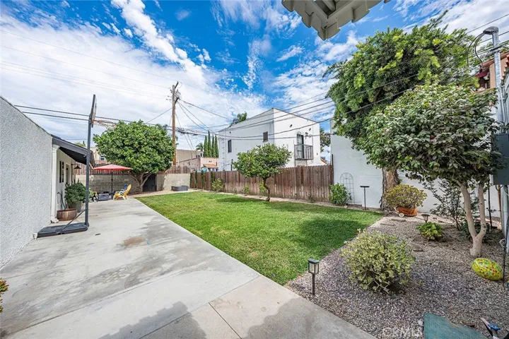 Back yard