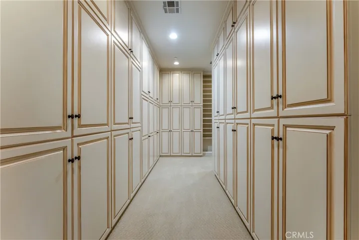 Master Custom Closet 1