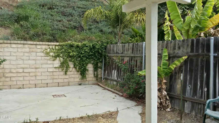 backyard_1