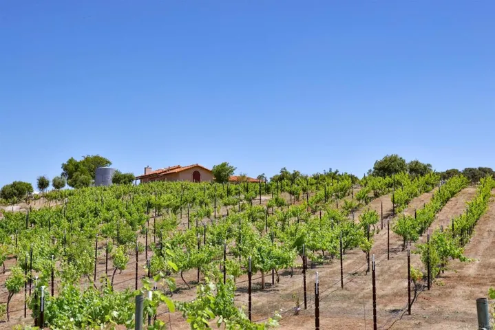25933 Potrero Valley Rd, Potrero, California 91963