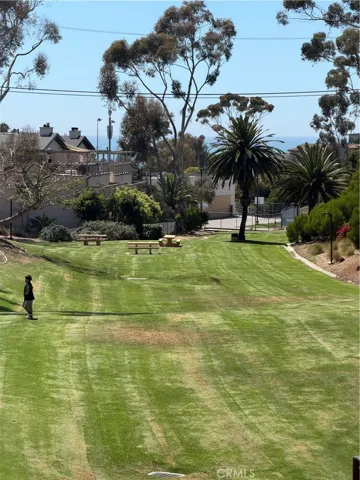 Back to a park