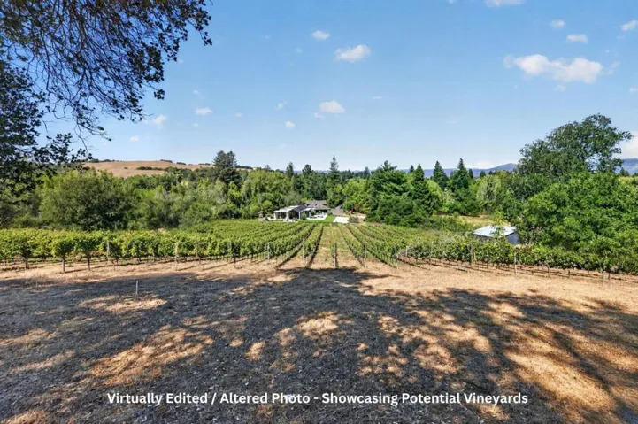 1195 Partrick Road, Napa, California 94558