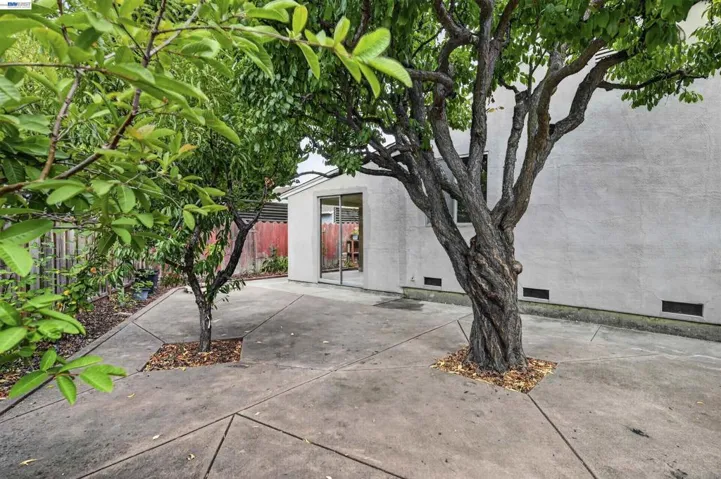 1282 Chapel Ave, San Leandro, California 94579