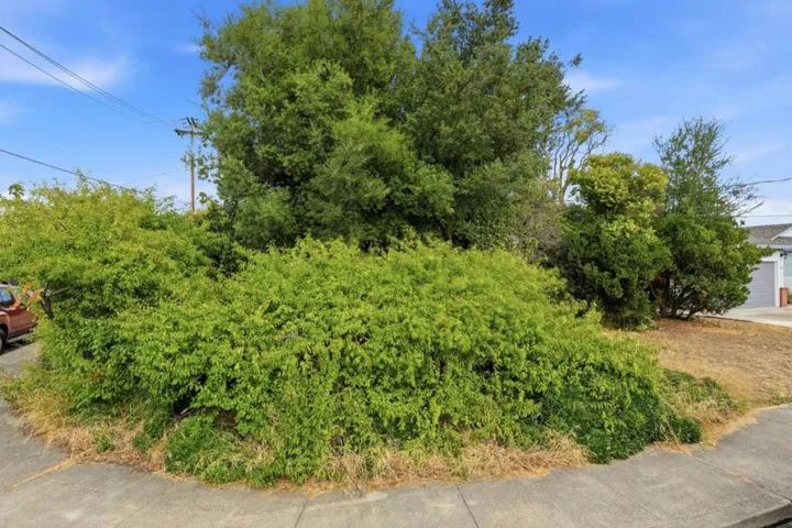 208 Kamson Way, Campbell, California 95008
