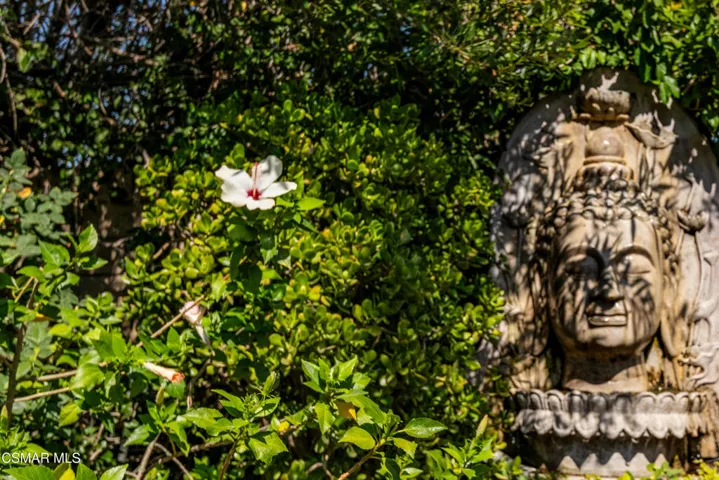 fountain