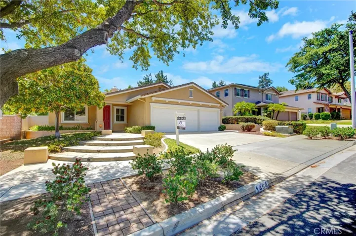 1464 Pinewood