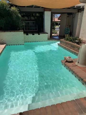 035_Backyard Pool